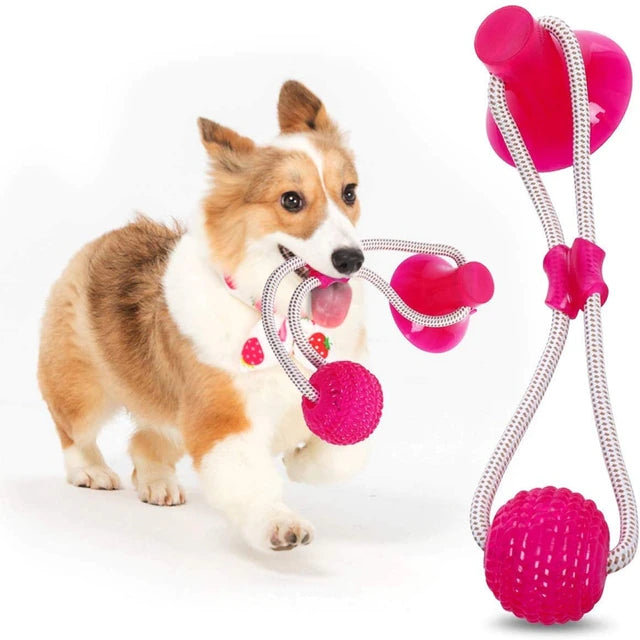 Dog Rope - Brinquedo de Força