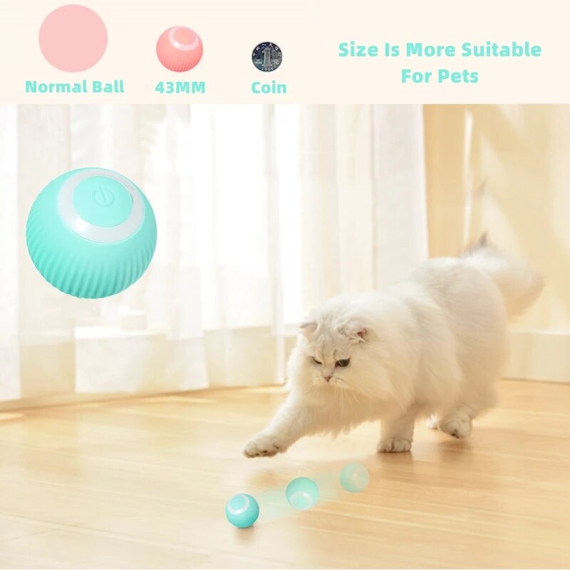 Pet Ball - Bolinha Elétrica