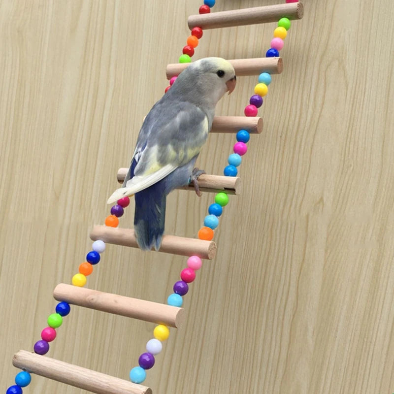 Bird Bridge - Ponte para pássaros